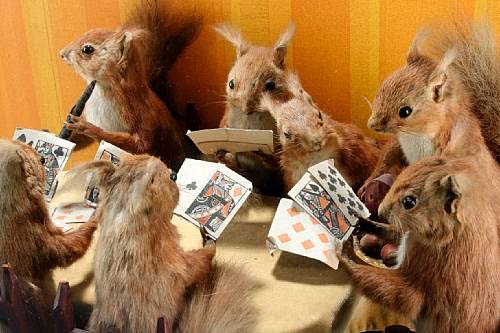 cardsquirrels[1].jpg